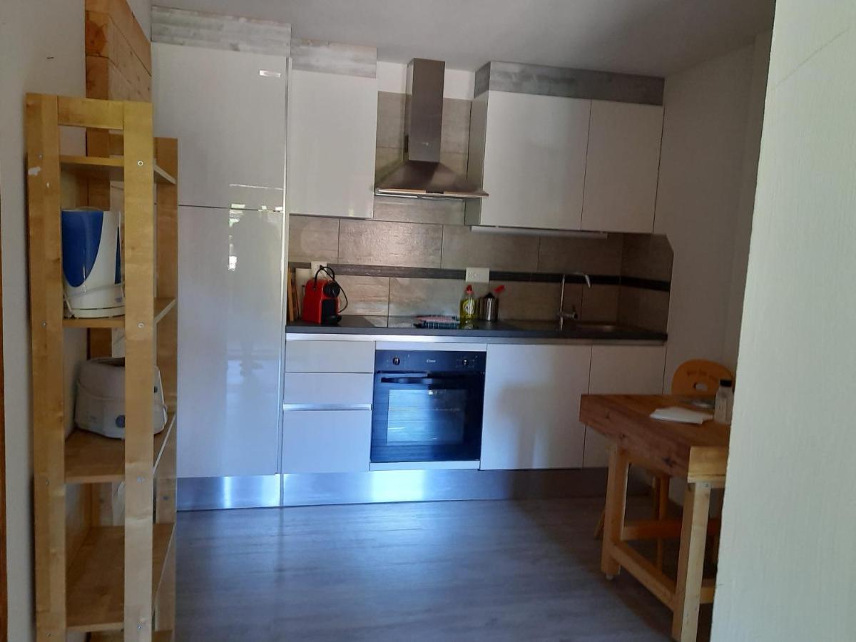 Berner Oberland Apartment Darligen Bagian luar foto