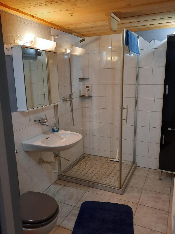 Berner Oberland Apartment Darligen Bagian luar foto